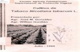 Cultivo de Tabaco Nicotiana tabacum L~ de Tabaco Nicotiana tabacum L. Importancia La importancia del tabaco se debe al crecimiento del su consumo y es cultivada alrededor de 90 países.
