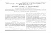 BIOPELÍCULA: UN MECANISMO DE SUPERVIVENCIA … · 337 Artículo Técnico Bayona-Rojas, M.A.; Gutiérrez-Escobar, A.J.: Supervivencia Helicobacter pylori a cabo en Perú, mostrando