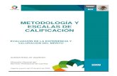 METODOLOGÍA Y ESCALAS DE CALIFICACIÓN - gob.mx · Metodología y Escalas de Calificación para la Evaluación de Experiencia y Valoración del Mérito - 2 ... bajo protesta de decir