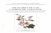 100 flores de los campos de Albacete (Guía divulgativa de … · 2011-04-28100 flores de los campos de Albacete (Guía divulgativa de cien...
