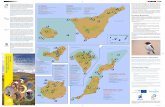 Observación de aves en las islas canarias - SEO/BirdLife · Observación de aves en las islas canarias ... certificada. Fotografias: a.M. (aurelio Martín); d.T. (domingo Trujillo);