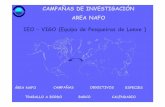 CAMPA ÑAS DE INVESTIGACI ÓN AREA NAFO IEO …tv.uvigo.es/uploads/material/Video/3988/CAMPA__AS_NAFO_VIZCON… · CAMPA ÑAS DE INVESTIGACI ÓN AREA NAFO ... Cola del Banco TERRANOVA