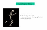 Dra. María Alejandra Vidal Instituto de Anatomía ... · Actividad del hueso ... RIÑON reabsorción renal calcio e inhibe reabsorción de fosfatos. síntesis vitamina D. HUESO actividad