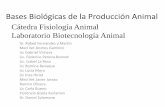 Bases Biológicas de la Producción Animal - agro.uba.ar 2010/clase 1, La célula 2010... · Bases Biológicas de la Producción Animal Dr. Rafael Fernández y Martín Med Vet Andres