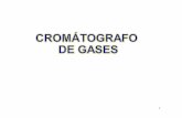 CROMATOGRAFÍA DE - depa.fquim.unam.mxdepa.fquim.unam.mx/amyd/archivero/CGInstrumentacion_26635.pdf · 3 ESQUEMA DE UN CROMATÓGRAFO Regulador Dos Pasos Cilindro de Gas Gas Portador