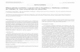 Hiperplasia nodular regenerativa hepática y linfoma ...scielo.isciii.es/pdf/diges/v106n4/es_nota2.pdfCiria Bru V, Giráldez Gallego A, Pascual-Vaca Gómez D, Zulueta Dorado T, Nacarino