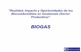 BIOGAS - oas.orgoas.org/dsd/Energy/Documents/SimposioG/3 Panel I Biogas.pdf · Esquema básico de un biodigestor y tipos de biodigestores 4. Experiencia de SMSA: Generación de biogas