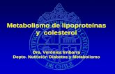 Metabolismo de lipoproteínas y colesterol alimentarias de Colesterol El Colesterol prácticamente sólo está presente en los alimentos de origen animal Sus principales fuentes son: