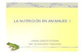 LA NUTRICIÓN EN ANIMALES I - …biogeolrda.wikispaces.com/file/view/bygnutricionanimales1.pdfLA NUTRICIÓN EN ANIMALES I 3. 3. Respiración traqueal-Invaginaciones de la pared del