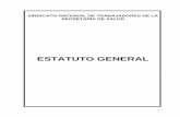 ESTATUTO GENERAL - Guanajuato · El Estatuto General es la norma suprema que rige la vida interior de nuestra Organización con el objeto de mantener la vigencia de los derechos y
