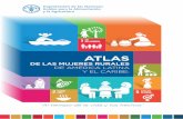 Atlas de la Mujer Rural en América Latina y el Caribe 3.2 Inserción laboral de la población rural de 15 a 29 años por sexo en 11 países de América Latina 17 Cuadro 4.1 Distribución