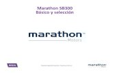 MarathonSB300 Básicoy selección - distribuidoramex.com · Benshaw Drive serie S4 ... • Sistema de control Mx2 (Mx3 opcional), protección y monitoreo completo • Uso estándar