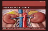 Contenido€¦ ·  · 2013-05-18Anatomia del riñon .....6 25.1.3. Procesos de formación de la orina ... vasos sanguíneos, nervios, vasos linfáticos y los uréteres.