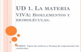 UD 1. LA MATERIA VIVA BIOELEMENTOS …simbiontes.wikispaces.com/file/view/UD+1.+Materia+viva.+Bioelement...Primarios. 96,2 % de la materia ... C, H, O, N, P y S Secundarios: proporciones