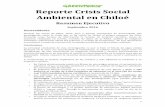 Reporte Crisis Social Ambiental en Chiloé - … De acuerdo a Informe ... flechas y su magnitud viene dada por el tamaño del vector en función de su escala expresada ... gradiente