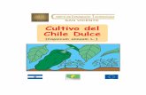 Cultivo del Chile Dulce - San Vicente Productivo Chile Dulce.pdf · Cultivo del Chile Dulce.FH11 Author: Norma Created Date: 8/4/2004 3:56:44 PM ...