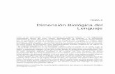 Dimensión Biológica del Lenguaje - INVESTIGACIÓN - Inicioinvestigaciondario.weebly.com/.../dimensin_biolgica_del_lenguaje.pdf · Dimensión Biológica del ... un conjunto de principios
