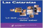 Las Cataratas - National Eye Institute | un ojo normal, la luz pasa a través del cristalino transparente a la retina. Al llegar a la retina, la luz se convierte en señales nerviosas