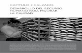DESARROLLO DEL RECURSO HUMANO PARA …portal.uasb.edu.ec/UserFiles/385/File/CALZADO.pdf · dESaRRollo dEl RECuRSo HuMaNo paRa MEJoRaR la CalIdad 77 2. aCtoRES dE la CadENa Plasticaucho