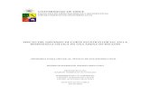 UNIVERSIDAD DE CHILE - Repositorio Académicorepositorio.uchile.cl/tesis/uchile/2010/cf-asenjo_ra/pdfAmont/cf... · Estado tensional en ensaye Triaxial consolidado isotrópicamente.