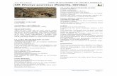 Javier Blasco Zumeta FAUNA DE PINA DE EBRO Y SU …monteriza.com/wp-content/uploads/mamiferos/445.eliomys-quercinus.pdf · 445 Eliomys quercinus (Rodentia, Gliridae) Página 1 Javier