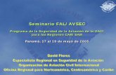 Seminario FAL/AVSEC - Secretaría de la CLACclacsec.lima.icao.int/Reuniones/2005/Sem AVSECFAL... ·  · 2005-05-24para las Regiones CAR/SAM Panamá, ... ilícita,– Doc 8973 Distribución