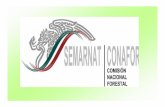 PROGRAMAS DE CONAFOR - Consejos Consultivos para …ccds.semarnat.gob.mx/regiones/r-co/2002-2004/sesiones_ordinarias/... · •caminos forestales •transformacion primaria para agrerar