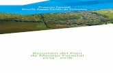 Proyecto Forestal Smurfit Kappa Cartón de Colombiaresources.smurfitkappa.com/Resources/Documents/Plan de Manejo... · 3.20.3 Construcción y mantenimiento de caminos forestales 36