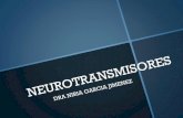 Organización del sistema nervioso€“Localizados en las sinapsis de las neuronas postganglionares del sistema nervioso parasimpático. –La estimulación de los receptores muscarinicos