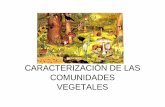 Caracterización de comunidades vegetales [Modo de ...cursodeecologiafacen.wikispaces.com/file/view...Principales Bioformas • Hemicriptófitas : son plantas con yemas de renuevo