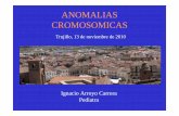 ANOMALIAS CROMOSOMICAS - anclex.net · • Nomenclatura de consenso (ISCN) para representar las anomalías cromosómicas. • Técnicas de citogenética molecular que mejoran la resolución
