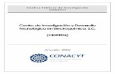 Centro de Investigación y Desarrollo Tecnológico en …2006-2012.conacyt.gob.mx/Centros/CIDETEQ/ANUARIO … ·  · 2010-04-28una serie de encuestas entre diversas empresas ...