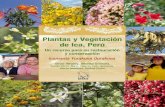 Plantas y Vegetación de Ica, Perú - Kew | Welcome€¦ ·  · 2011-07-07de Ica, Perú Un recurso para su restauración ... comen plantas o se alimentan de animales que las comen