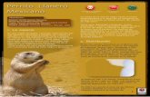 perrito llanero mexicano - Biodiversidad Mexicana | …€¦ ·  · 2011-01-26entrada a su madriguera y que usa como puestos de observación o en los alrededores. ... Los machos