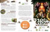 triptico ·  · 2017-03-31animales insectívoros supone una importante competencia alimentaria. Se han constatado, además, casos de ataques a pequeños vertebrados vivos, como crías