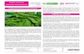 Informe de contexto - Inicio de Colombia, ANDI; la Asociación Hor-tifrutícola de Colombia, Asohofrucol, productores y exportadores. En consenso, el sector priorizó cuatro frutas
