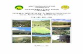 INSTALACIÓN DE PLANTACIONES FORESTALES EN EL ÁMBITO DEL ...s7d0163f356397c9f.jimcontent.com/download/version/1284262175/mod… · proyectos forestales del ámbito de la Sierra,
