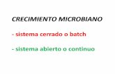 Diapositiva 1 - microbiologiaunvime - Home .Siembra por vertido en placa ( mezcla de muestra más agar) Siembra por vertido en placa eooooo '59 = Reproducción bacteriana Fisión binaria