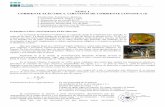 Tema 1. Circuitos de corriente continua (I) (pdf).janavarro.iespadremanjon.es/images/elec2bach/T1_Circuitos_CC_1.pdf · Generadores y motores. Ley de Ohm generalizada. 6. ... francés