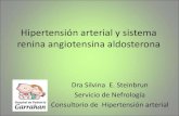 Hipertensión arterial y sistema renina angiotensina ... Interna... · CL 99.6 mEq/l; OC pH 6 densidad ... • Laboratorio: Alcalosis metabólica, hipokalémica, hiperreninemia. ...
