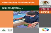 Prácticas Seguras en el Sector Agrícola€¦ ·  · 2010-07-27miso de las autoridades, empleadores y trabajadores para cumplir con sus responsabilidades en la materia, poner en