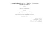 Estudio Dinamico de Campos Escalares´ Autogravitantesinspirehep.net/record/946947/files/36-argelia-bernal-bautista.pdf · Debido a la complejidad del sistema de ecuaciones diferenciales
