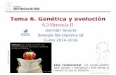 Tema 6. Genética y evolución - dpbiologia.weebly.comdpbiologia.weebly.com/uploads/2/1/5/5/21553524/gtp_t6.genética_y...APLICACIÓN: Cruces dihíbridos En un cruce dihíbrido se