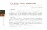 Carl Schmitt: límites y potencialidades del partisanowebiigg.sociales.uba.ar/revistacuadernosdemarte/nro2/2_laleff.pdf · Carl Schmitt: límites y potencialidades del partisano 2