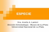 ESPECIE - Facultad de Ciencias Naturales y Museo - UNLP - …€¦ ·  · 2014-07-03de la abstracción por parte de la mente humana. ... Menor grupo de poblaciones sexuales o linajes