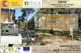 Red Europea de Seguimiento intensivo en los bosques ICP ... · en los bosques ICP Forests (Nivel II) ... 1.302.000 €(Adenda de la prórroga: ... 3. Proporcionar una perspectiva