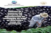 Informe sobre CULTIVO FRIJOL - Legume Innovation Lablegumelab.msu.edu/uploads/files/Guatemala Year 1.pdf ·  · 2017-11-20Ver figuras 5, 6, 7 y 8. ... FIGURA 7. Intercambio de experiencias