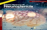 Revista Mexicana de Neurocienciarevmexneuroci.com/wp-content/uploads/2017/03/... · auditivo-verbal de Rey y test de clasificación de tarjetas de Wisconsin. 2. Escala para detección