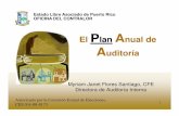 El Plan nual de Auditoría - OFICINA DEL CONTRALOR ... Plan Anual de Auditoría Estado Libre Asociado de Puerto Rico OFICINA DEL CONTRALOR 1 Myriam Janet Flores Santiago, CFE Directora