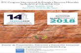 XIV Congreso Internacional de Energía y Recursos Mineralescongresomineriasevilla2018.org/assets/Dossier-Mineria-2018.pdf · 3 I ongreso Internacional de Energa ecrsos Minerales ANDALUCÍA